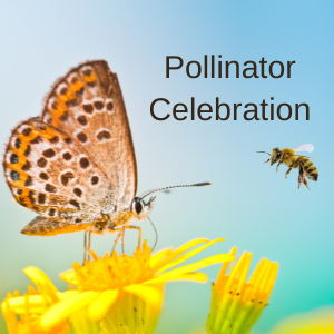 Pollinator Celebration